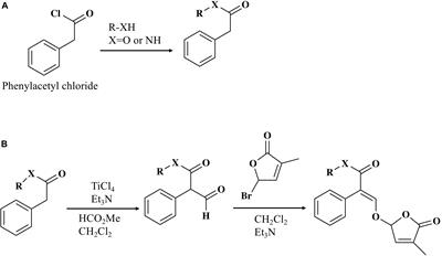 A New Series of Carlactonoic Acid Based Strigolactone Analogs for Fundamental and Applied Research